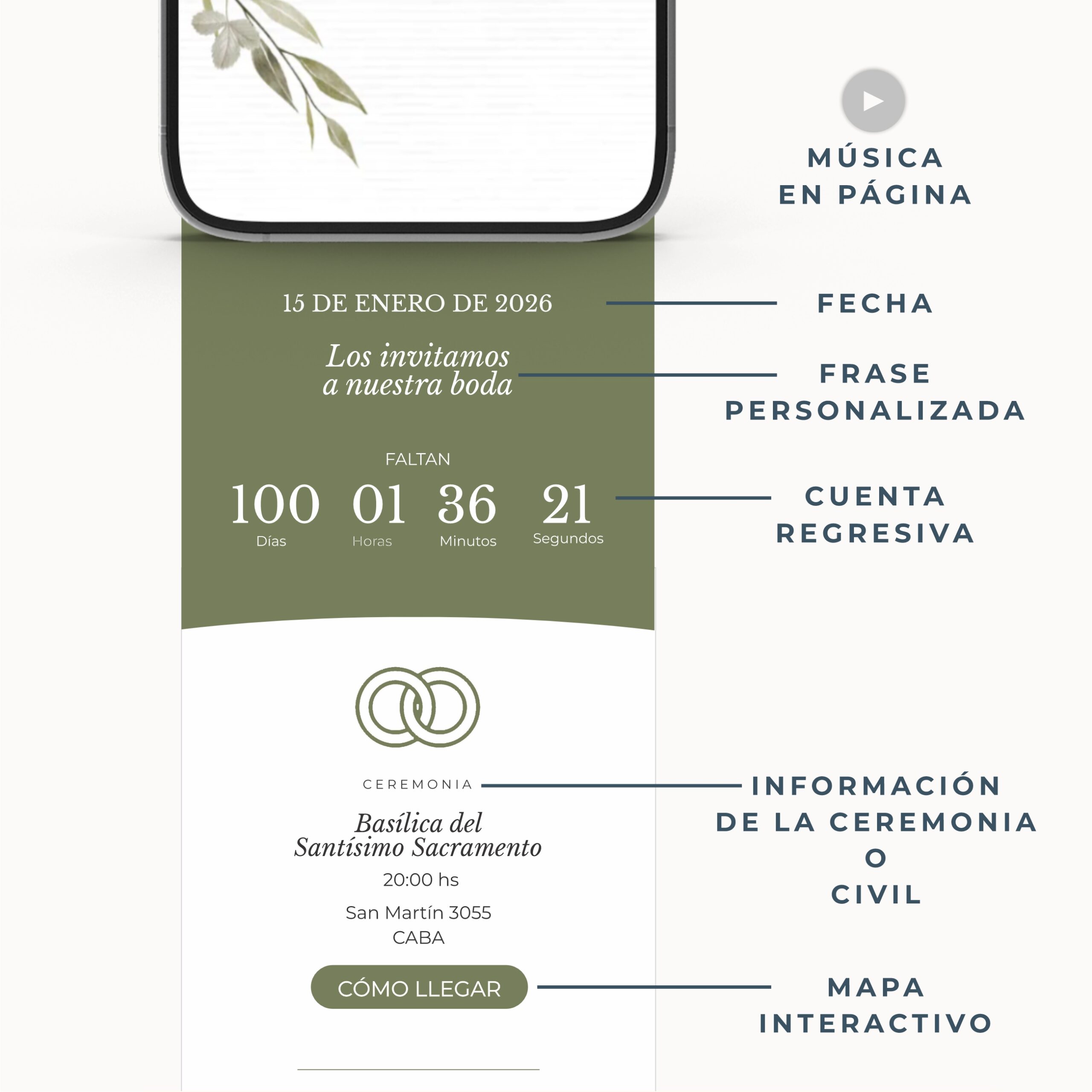 2-B23 - OLIVOS - RTV