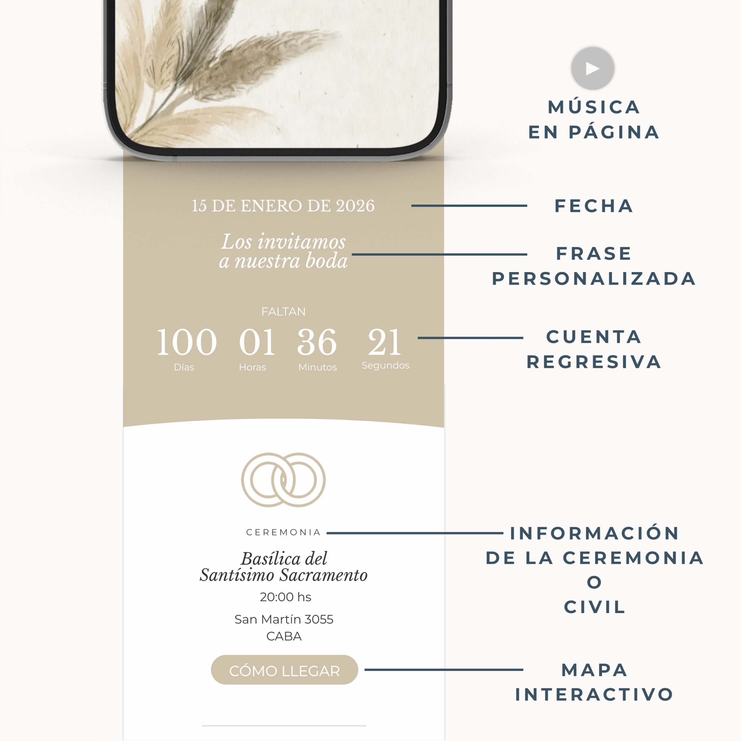 2-B26 - PAMPA GRASS - RTI