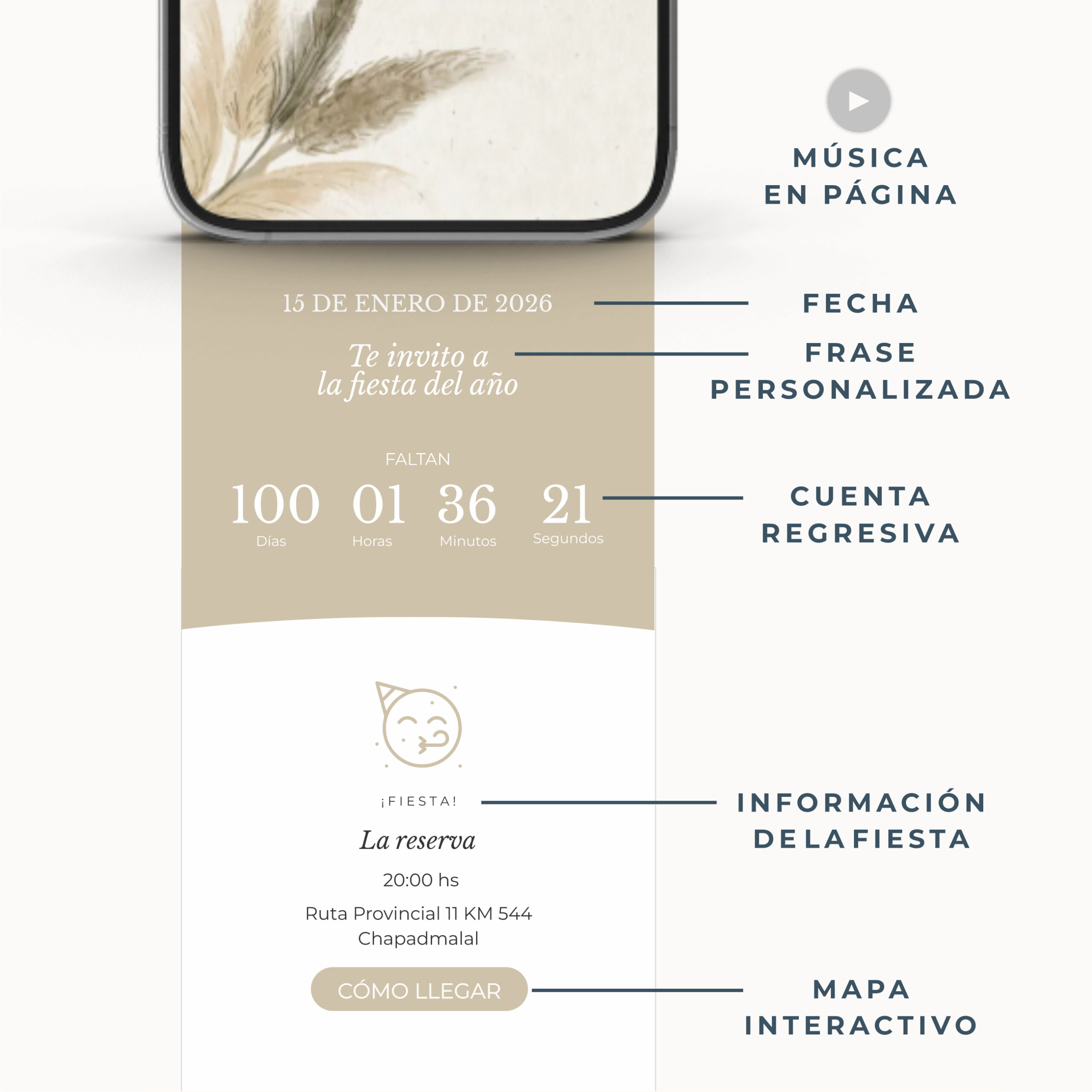 2- Q22 - PAMPA GRASS - RTI