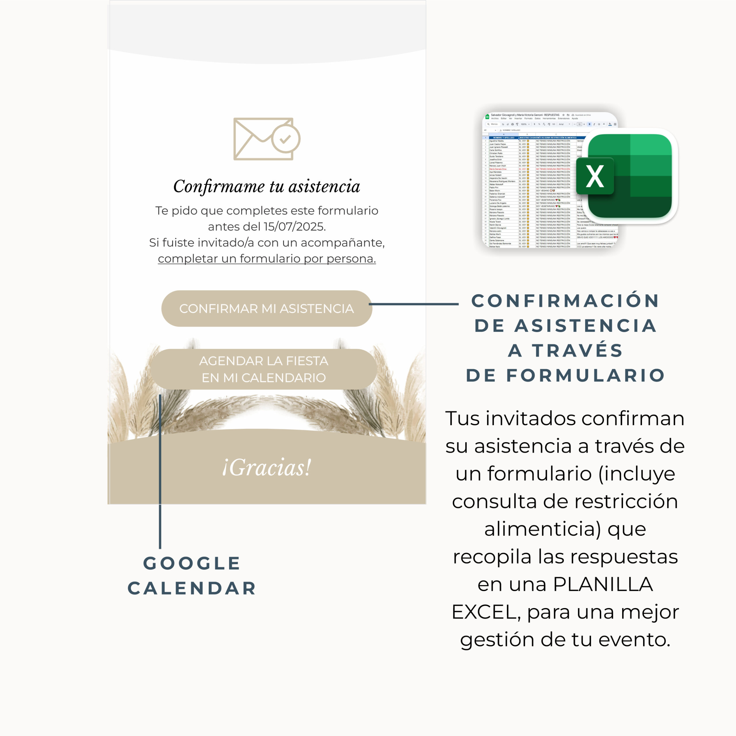 5- Q22 - PAMPA GRASS - RTI
